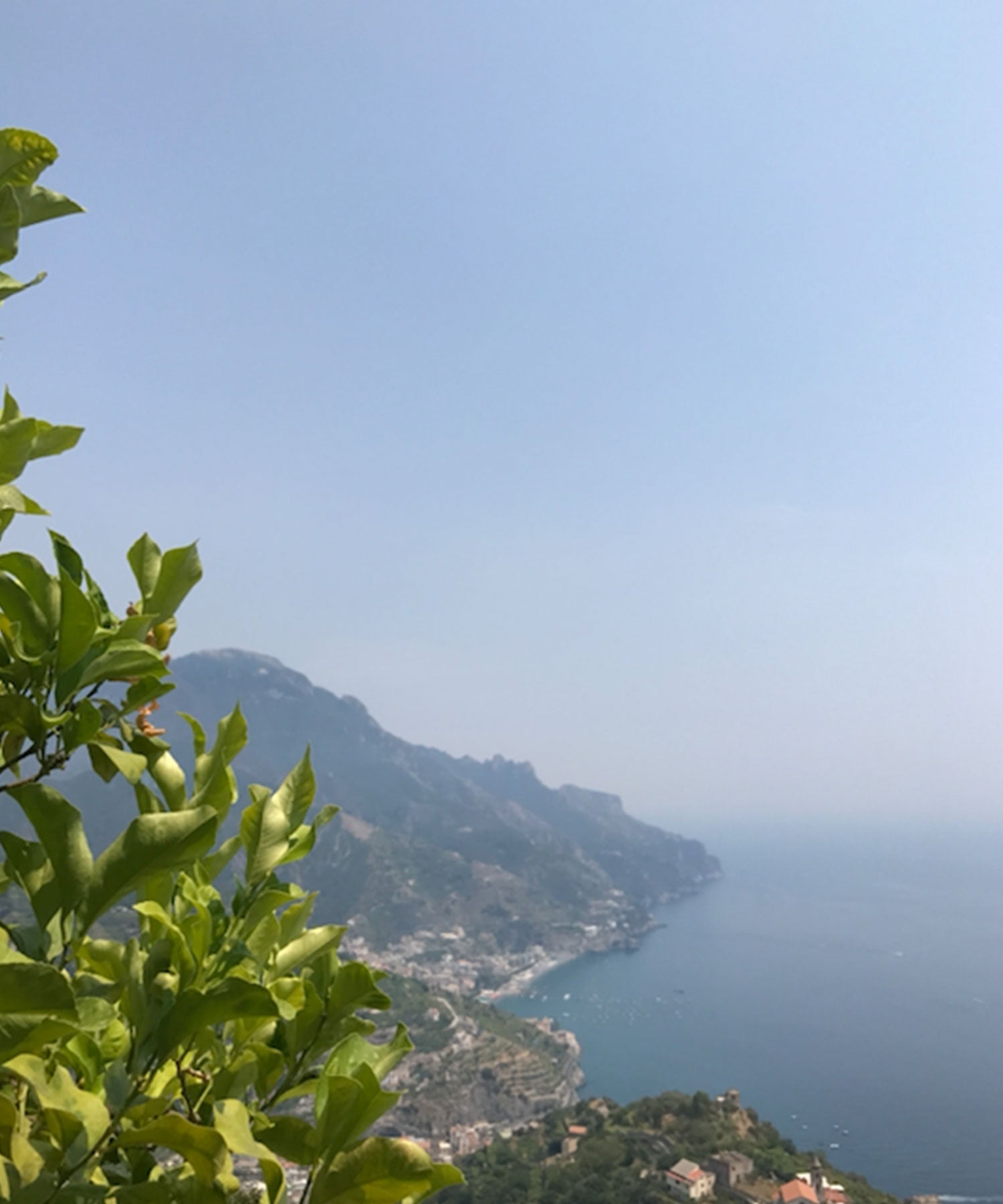 Hill by the Sea